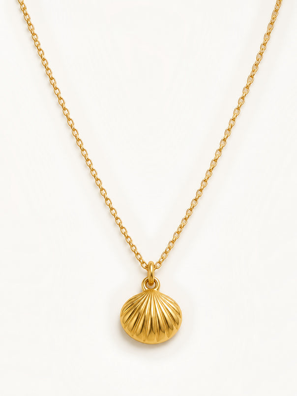 Golden Seashell Necklace