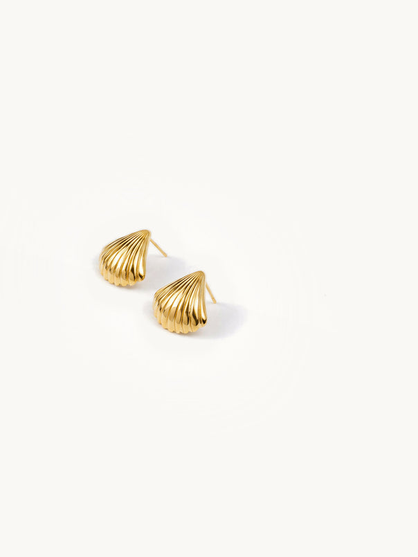 Seashell Stud Earrings