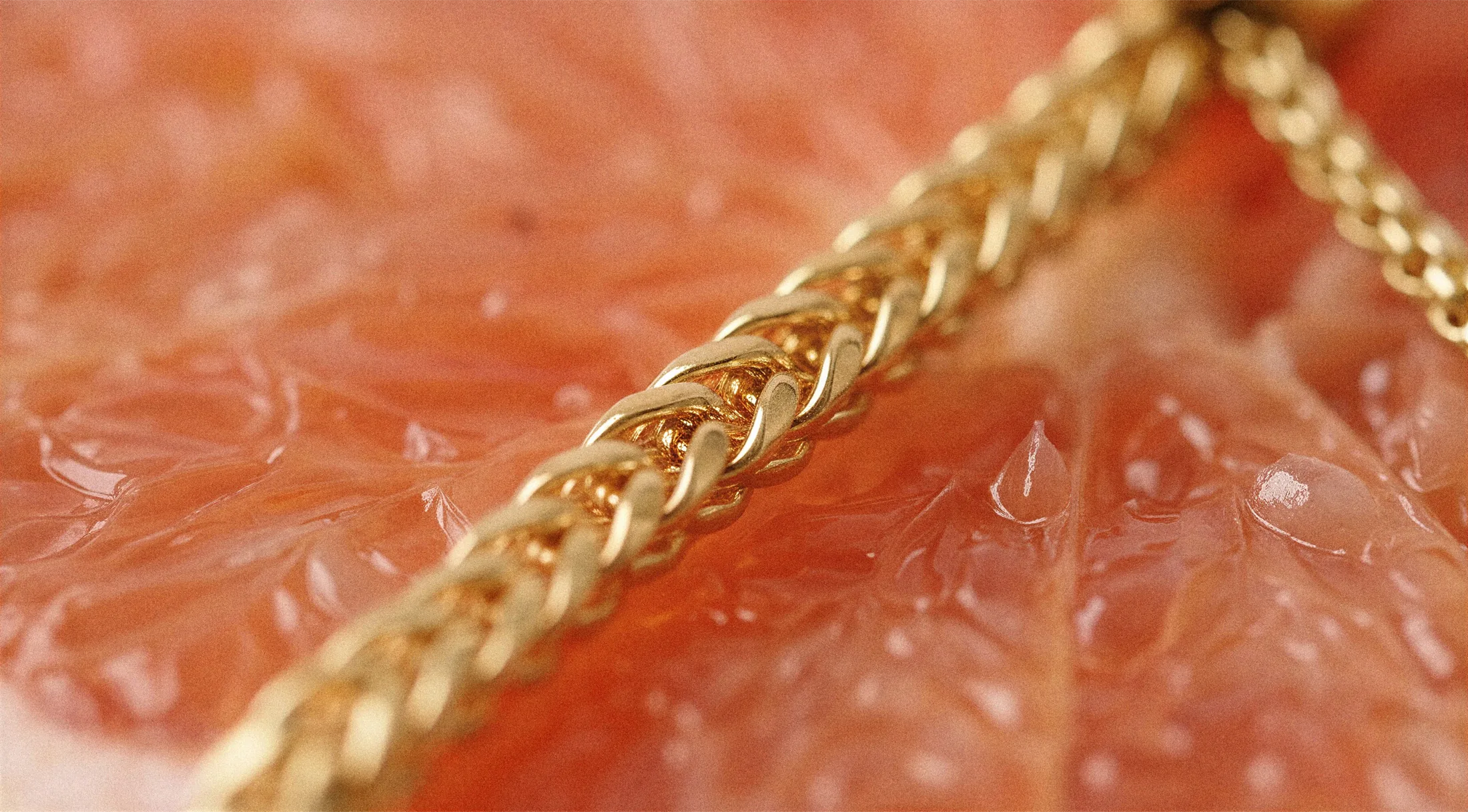 Lunielle gold chain resting on grapefruit